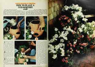 Better Homes & Gardens May 1978 Magazine Article: Page 136