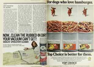 Better Homes & Gardens May 1978 Magazine Article: Page 196