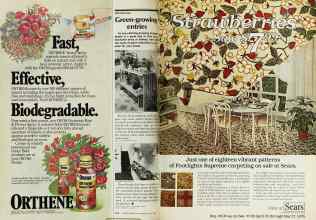 Better Homes & Gardens May 1978 Magazine Article: Page 234