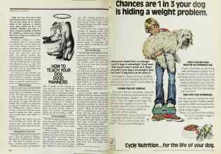 Better Homes & Gardens May 1978 Magazine Article: Page 242