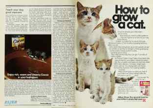 Better Homes & Gardens May 1978 Magazine Article: Page 244