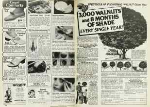 Better Homes & Gardens May 1978 Magazine Article: Page 264