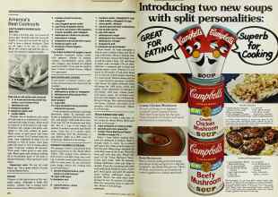 Better Homes & Gardens June 1978 Magazine Article: Page 138