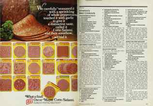 Better Homes & Gardens June 1978 Magazine Article: Page 140