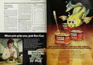 Better Homes & Gardens June 1978 Magazine Article: Page 176