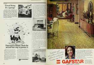 Better Homes & Gardens June 1978 Magazine Article: Page 216