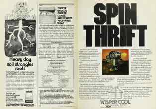 Better Homes & Gardens June 1978 Magazine Article: Page 238