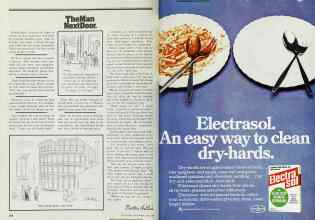 Better Homes & Gardens June 1978 Magazine Article: Page 250