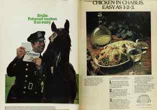 Better Homes & Gardens July 1978 Magazine Article: Page 4