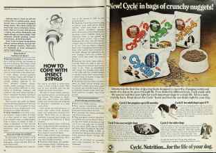 Better Homes & Gardens July 1978 Magazine Article: Page 18