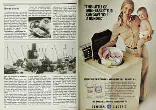 Better Homes & Gardens July 1978 Magazine Article: Page 132