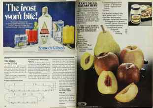 Better Homes & Gardens July 1978 Magazine Article: Page 148