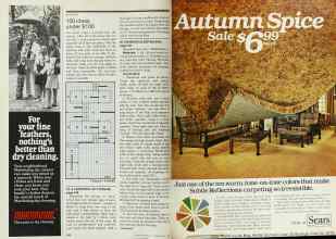 Better Homes & Gardens July 1978 Magazine Article: Page 150