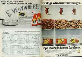 Better Homes & Gardens July 1978 Magazine Article: Page 152