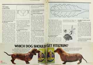 Better Homes & Gardens July 1978 Magazine Article: Page 162