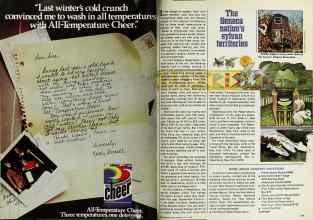 Better Homes & Gardens July 1978 Magazine Article: Page 178