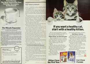 Better Homes & Gardens August 1978 Magazine Article: Page 38