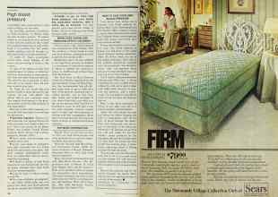 Better Homes & Gardens August 1978 Magazine Article: Page 40