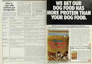 Better Homes & Gardens August 1978 Magazine Article: Page 162