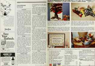 Better Homes & Gardens August 1978 Magazine Article: Page 170