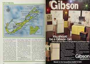 Better Homes & Gardens August 1978 Magazine Article: Page 178