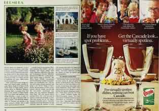 Better Homes & Gardens August 1978 Magazine Article: Page 180