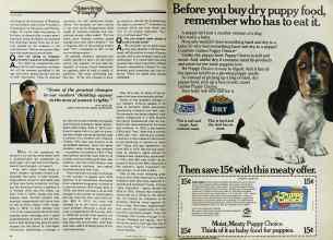 Better Homes & Gardens September 1978 Magazine Article: Page 84