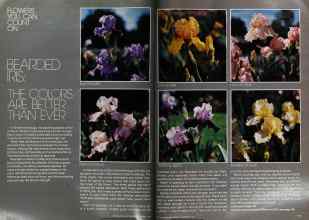 Better Homes & Gardens September 1978 Magazine Article: Page 114