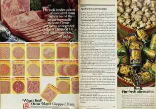 Better Homes & Gardens September 1978 Magazine Article: Page 144
