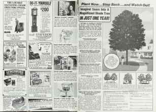 Better Homes & Gardens September 1978 Magazine Article: Page 202