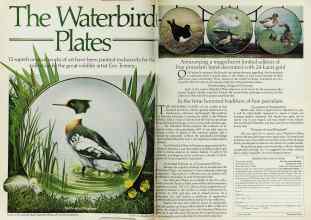 Better Homes & Gardens October 1978 Magazine Article: Page 54