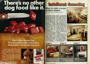 Better Homes & Gardens October 1978 Magazine Article: Page 108