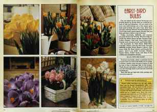 Better Homes & Gardens October 1978 Magazine Article: Page 118