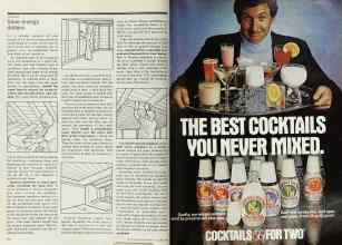 Better Homes & Gardens October 1978 Magazine Article: Page 164