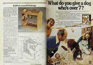 Better Homes & Gardens October 1978 Magazine Article: Page 176