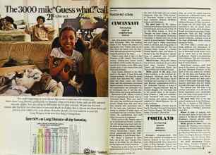 Better Homes & Gardens October 1978 Magazine Article: Page 198