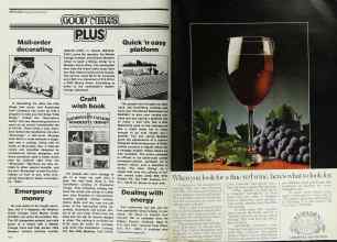 Better Homes & Gardens October 1978 Magazine Article: Page 206