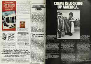 Better Homes & Gardens October 1978 Magazine Article: Page 210