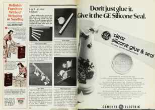 Better Homes & Gardens October 1978 Magazine Article: Page 216