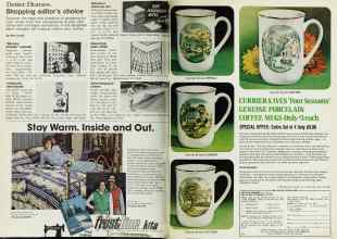 Better Homes & Gardens October 1978 Magazine Article: Page 218