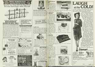 Better Homes & Gardens October 1978 Magazine Article: Page 222