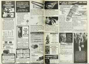 Better Homes & Gardens October 1978 Magazine Article: Page 224