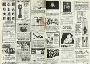 Better Homes & Gardens October 1978 Magazine Article: Page 228
