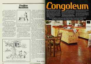 Better Homes & Gardens October 1978 Magazine Article: Page 236