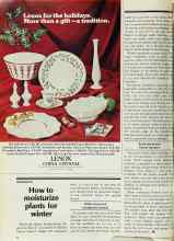Better Homes & Gardens November 1978 Magazine Article: How to moisturize plants for winter