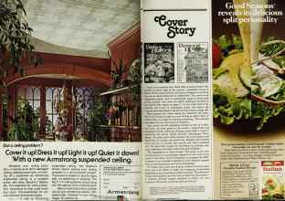 Better Homes & Gardens November 1978 Magazine Article: Page 2