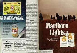 Better Homes & Gardens November 1978 Magazine Article: Page 38