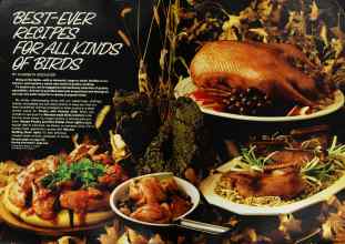 Better Homes & Gardens November 1978 Magazine Article: Page 166