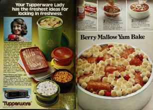 Better Homes & Gardens November 1978 Magazine Article: Page 188