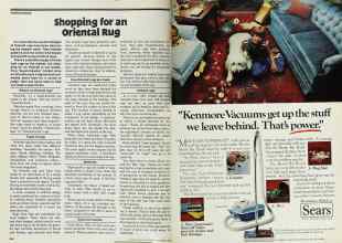 Better Homes & Gardens November 1978 Magazine Article: Page 244
